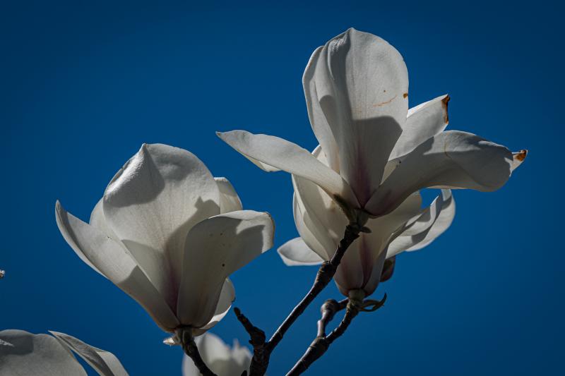 Martin Grassie photo