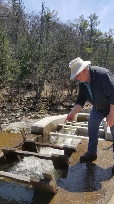 Join in the fun and volunteer to count fish at the Nequasset fish ladder in 2021! Sign up at: www.kennebecestuary.org/fish-counting/ Courtesy of Kathy Gravino