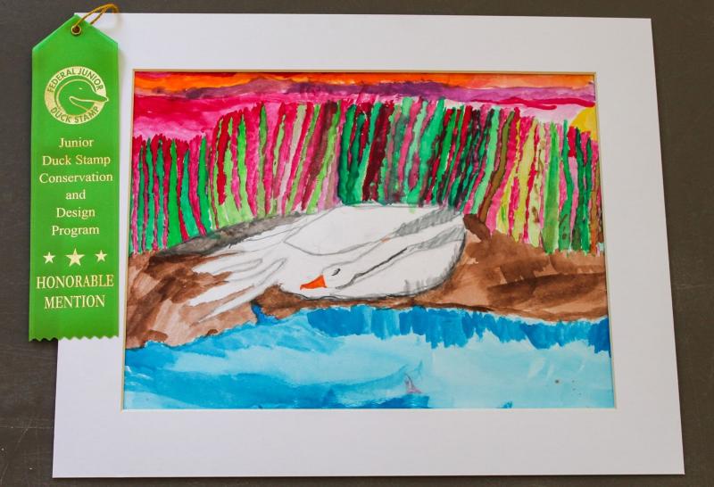 Micah Loosigian’s drawing. Courtesy of Chewonki