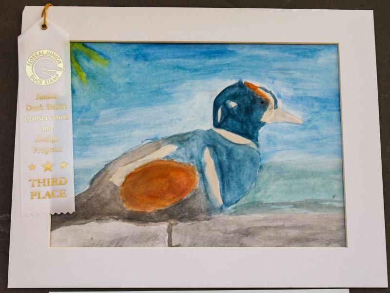 Zella Morgan of Alna received a 3rd-place award for her duck painting. Courtesy of Chewonki