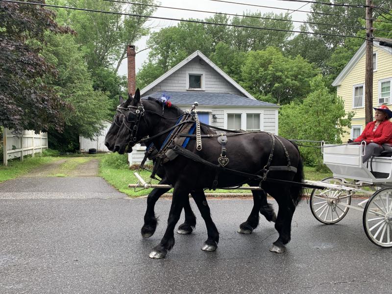 Linda Verney drives a horse-drawn carriage. SUSAN JOHNS/Wiscasset Newspaper