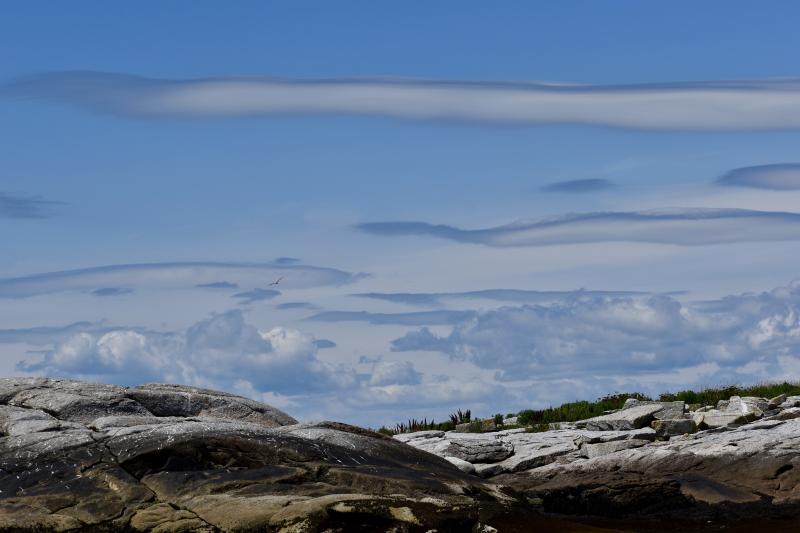A view of Eastern Egg Rock. Stephanie Morrison photo