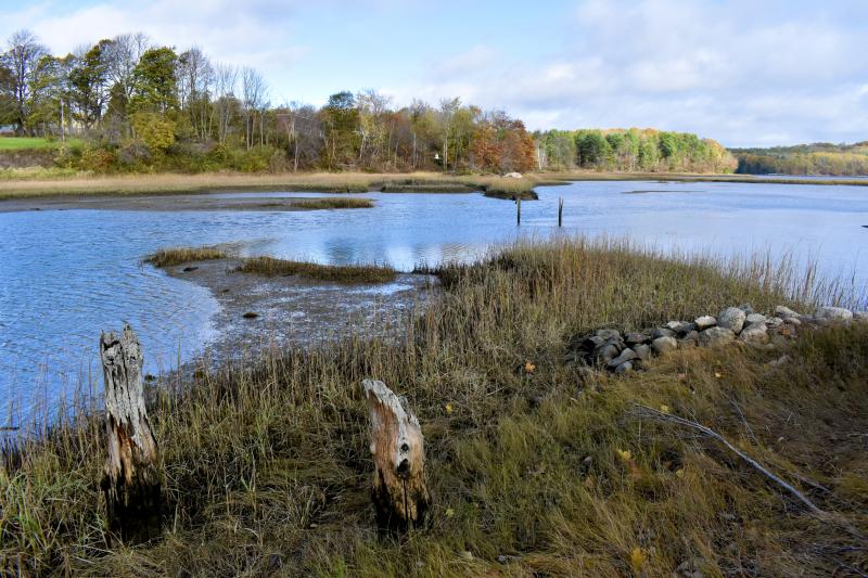 Looking toward Federal Street from the western shore of Cow Island. The piling shows the path of the former narrow gauge railroad. PHIL DI VECE/Wiscasset Newspaper