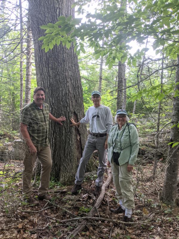 Midcoast Conservancy Executive Director Pete Nichols, left, with Leonard Duffy and Maureen Hoffman visiting Aranyani; Duffy gifted the 45 acre Preserve in honor of his late wife Nancy Duffy. Courtesy of Midcoast Conservancy