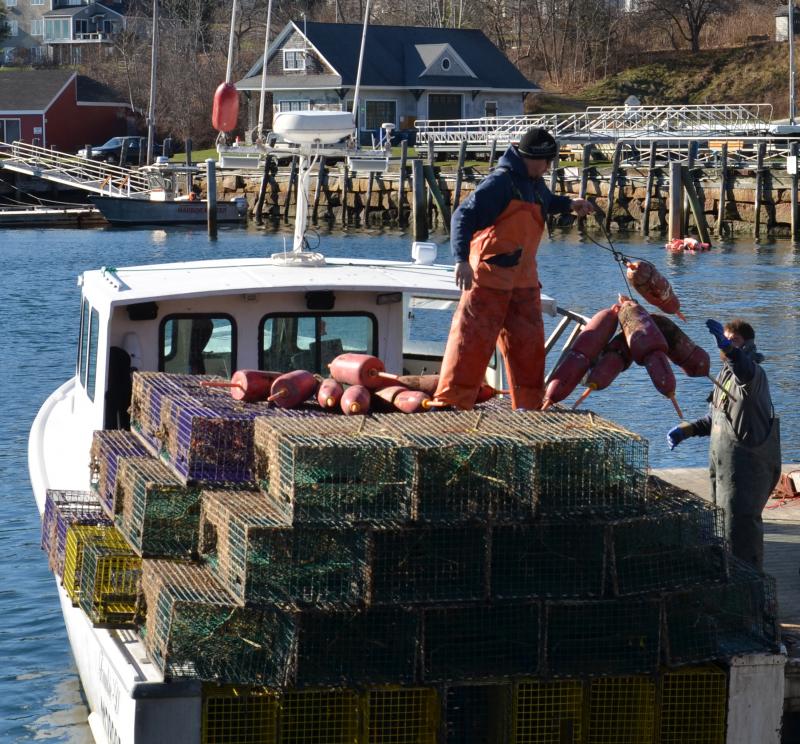 As the lobster season winds down, the drags on this fishery have only mounted. High price of diesel, inconsistent catches, lower price per pound, not to mention a federal lawsuit concerning right whales and the lobster industry. Making matters even worse was the recent designation – red listing —by Seafood Watch. Lynda Clancy photo
