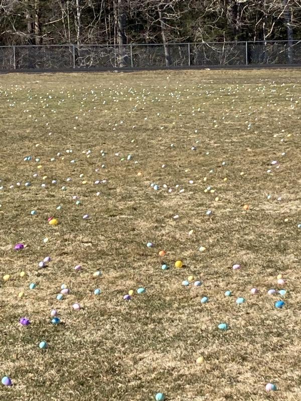 6,000 Easter eggs in the field inside the track. EDNA MILLER/Wiscasset Newspaper