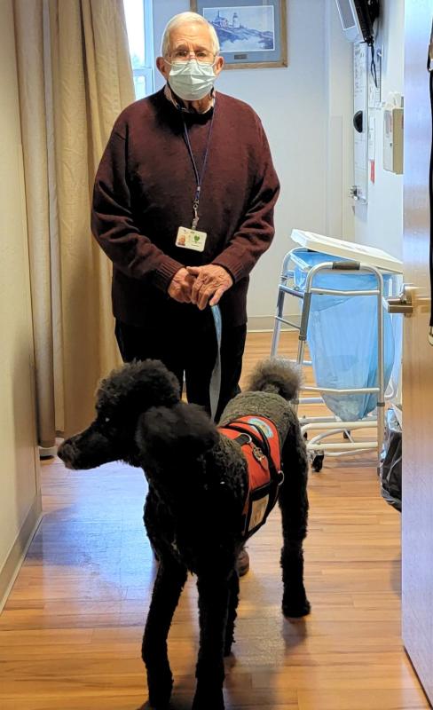 Sandy Flint and his Standard Poodle, Simon, move down the hallway at LincolnHealth on their way to a pet therapy visit with a patient. Courtesy of LincolnHealth