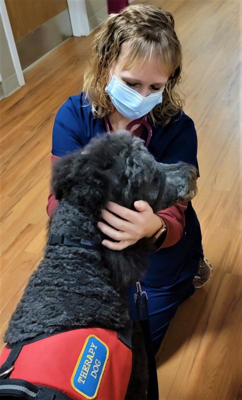 A LincolnHealth team member takes a moment to say hello to Simon during his most recent therapy visit. Sandy Flint, Simon’s owner, said it is as important to visit with the staff as it is the patients. Courtesy of LincolnHealth