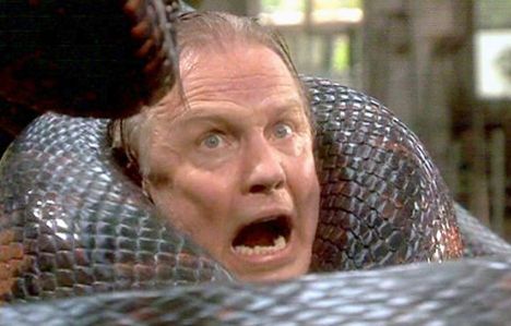 I’M BEING EATEN BY A SNAKE!!!! NOT Michael Blair, spectrum internet