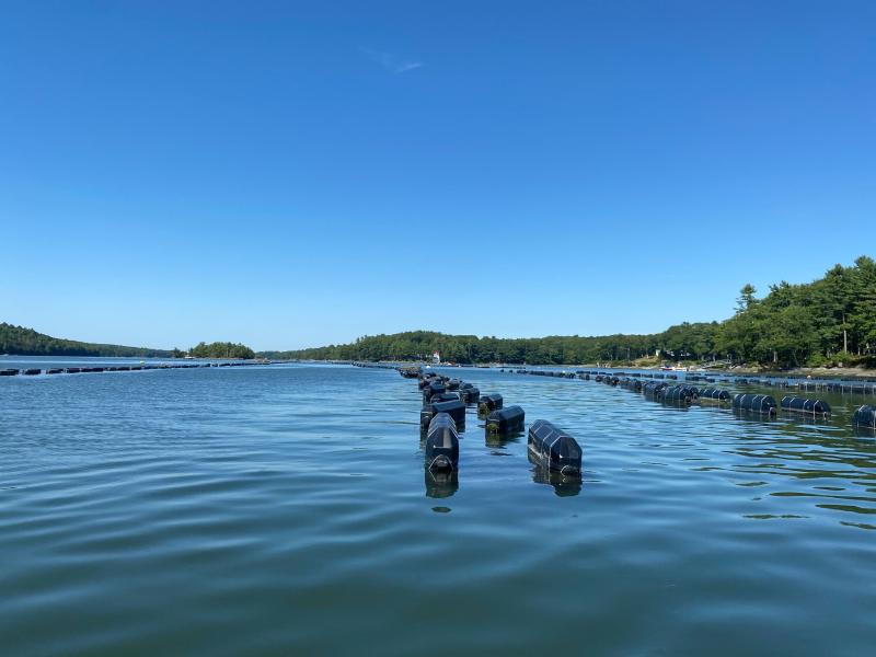 Celebrate summer’s end with KELT at Eros Oysters for a aquaculture farm tour and tasting on Saturday, Sept. 9 at 2 and 4 p.m. and support KELT’s work across the Kennebec Estuary. Courtesy of Eros Oysters