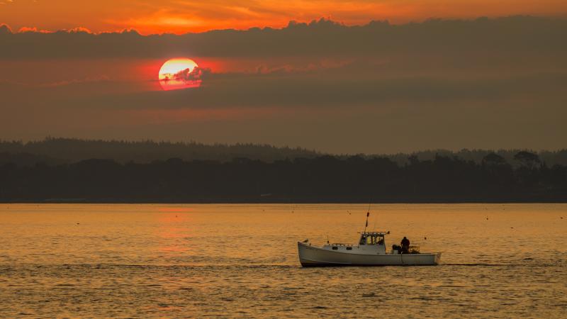 Lobster fishermen at work as the sun rises on Sept. 9. Mike Leonard photo