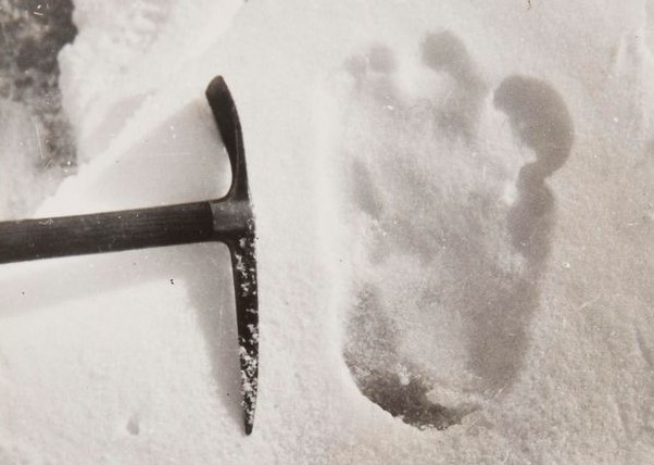 Yeti footprint photographed by Eric Shipton in 1951.