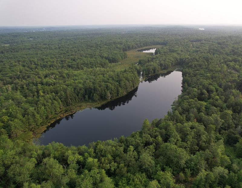 The Coombs conservation easement includes shoreline along Half Moon Pond in Bristol, Courtesy of Brian Goding