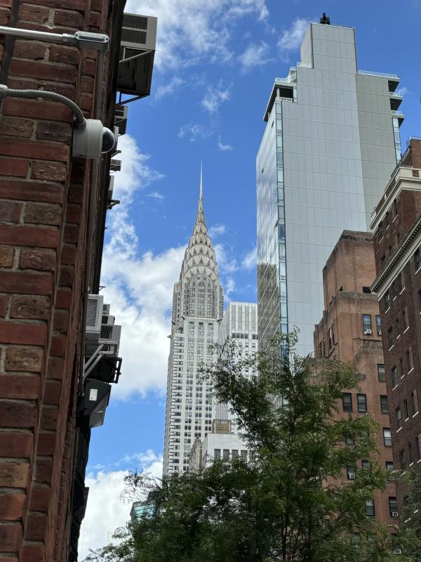 The authors spent some time in Midtown Manhattan where some of the birds made them think of home in Maine. Allison Wells photo