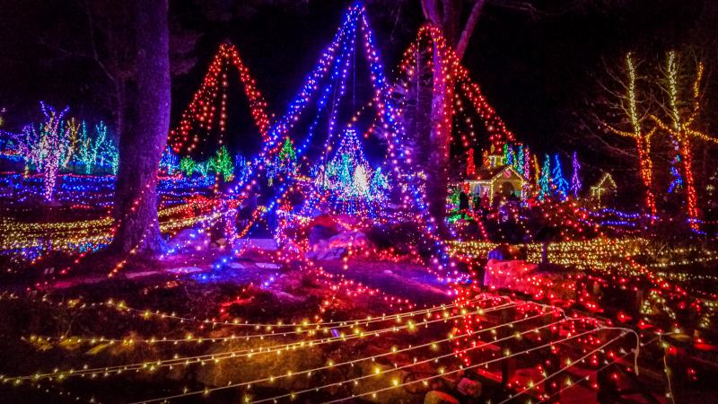 ISO 800 1/40th - f/5.6 - This shot was underexposed to capture all of the tonality - in auto mode the lights would have been blown out. I wanted to see detail on the structure and the colors of the lights and underexposing this allow for that. Michael Leonard photo Cell phone at Gardens Aglow