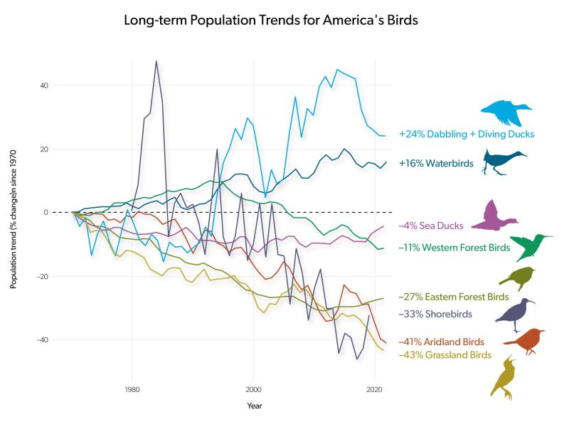 The 2025 State of the Birds report, like thousands of other reports and publications, would not have been possible without results from the Breeding Birds Survey. Courtesy of Cornell Lab of Ornithology The 2025 State of the Birds report, like thousands of other reports and publications, would not have been possible without results from the Breeding Birds Survey. (Courtesy Cornell Lab of Ornithology)