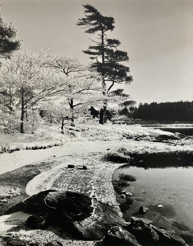 A local winter scene by Robert Mitchell. Courtesy of Robert Mitchell Winter