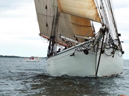 Windjammer Days Windjammer Days