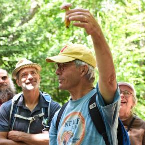 mushroom author and educator Greg Marley
