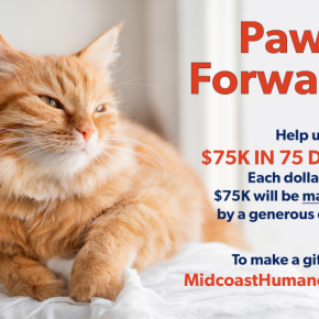 Courtesy of Midcoast Humane. 