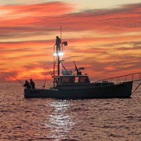 Staff photographer Steve Edwards spent a morning and an afternoon on the water during the 2025 Boothbay Harbor Tuna Challenge and captured this and many other great shots. STEVE EDWARDS/Boothbay Register