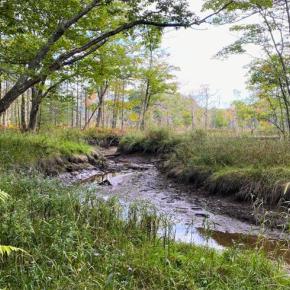 Coastal Rivers’ Salt Bay Farm in Damariscotta. Courtesy photo