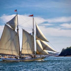 Schooner "Heritage" has attended Windjammer Days in the Boothbay Region for decades. Sean Sheppard photo
