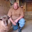 A wayward ram found refuge with Terry Garner, pictured, and Garner's wife Sandy in Alna. SUSAN JOHNS/Wiscasset Newspaper