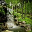 "Utopia," by Doris “Dodie” Wible.  Wible's photo is one of many taken at Coastal Maine Botanical Gardens that make up an exhibit of scenes captured by the gardens’ photography club members. The photos will be exhibited until October 16. 