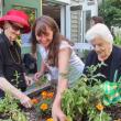 Marie Callnan (on left), Gregory Wing Activities Director Jerie Phinney, and Veula Reed (on right) work in one of the raised bed gardens outside the Gregory Wing at St. Andrews Village. A new garden made possible by the St. Andrews Hospital Auxiliary will make it easier for more residents to enjoy the outdoors in an unstructured but secure atmosphere. The new garden features a walkway, patio and wooden fence. Courtesy of Lincoln County Healthcare