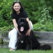 Author Carla Maria Sullwold and her Newfoundland, Ruffian, will visit the Skidompha Library Thursday, November 15 as part of the “Chats with Champions” series. Courtesy of Skidompha Library
