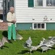 Florence Haggett's seagull friends flock to her side as she tosses their afternoon snack. KATRINA CLARK/Boothbay Register
