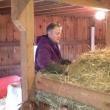 Marge Kilkelly has her goats’ attention as she gets them a hay snack. SUSAN JOHNS/Wiscasset Newspaper