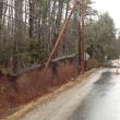 Downed tree on Back River Road in Boothbay. SUE MELLO/Boothbay Register, Wiscasset Newspaper
