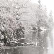 Snow-covered trees at the head of Lobster Cove. RYAN LEIGHTON/Boothbay Register