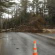 Downed wires on Dover Road in Boothbay. RYAN LEIGHTON/Boothbay Register, Wiscasset Newspaper