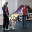 Namoi Howe of Spruce Head and Howe's Australian Shepherd Leeloo. SUSAN JOHNS/Wiscasset Newspaper