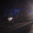 This Nissan Altima crossed Route 218 in Alna then stopped in the woods after its driver apparently missed the Rabbit Path Road stop sign. JOHN MAGUIRE/Wiscasset Newspaper