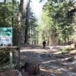 Entrance to the Sortwell Pines trail network. JOHN MAGUIRE/Wiscasset Newspaper