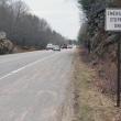 Many of these signs posted along Route 1 have been pulled up from the ground, according to Woolwich Code Enforcement Officer Bruce Engert. JOHN MAGUIRE/Wiscasset Newspaper