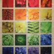 The exhibit “Color Study: Macro” displays a spectrum of plant close-ups by members of the Gardens’ Photography Club. Courtesy of Barbara Freeman