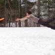 Avery Briggs lays out for the disc. Courtesy of Jason Anthony