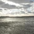 maine winter popham