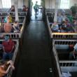 Alna metinghouse, special town meeting