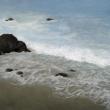 "Coastal Surf" Bev Walker