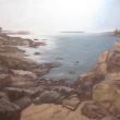 The Rocky Coast by Midge Coleman