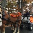 Alna Store, Halloween, Linda Verney, Belgian