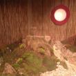 “Storybook Zensation,” 2014 Portland Flower Show