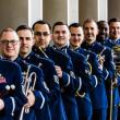 United States Air Force Heritage Brass