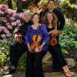 DaPonte String Quartet
